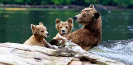 Brook Speed Photography